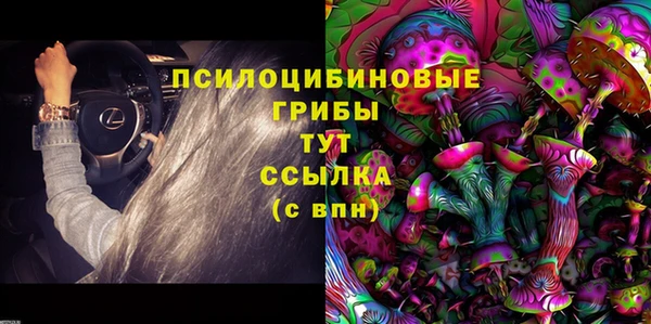 меф Алексин
