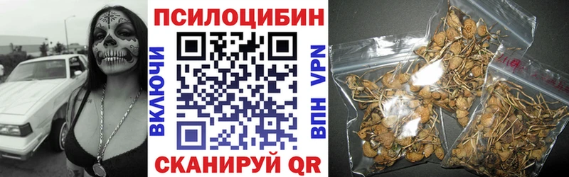 Псилоцибиновые грибы Psilocybe даркнет сайт hydra tor Гаврилов Посад